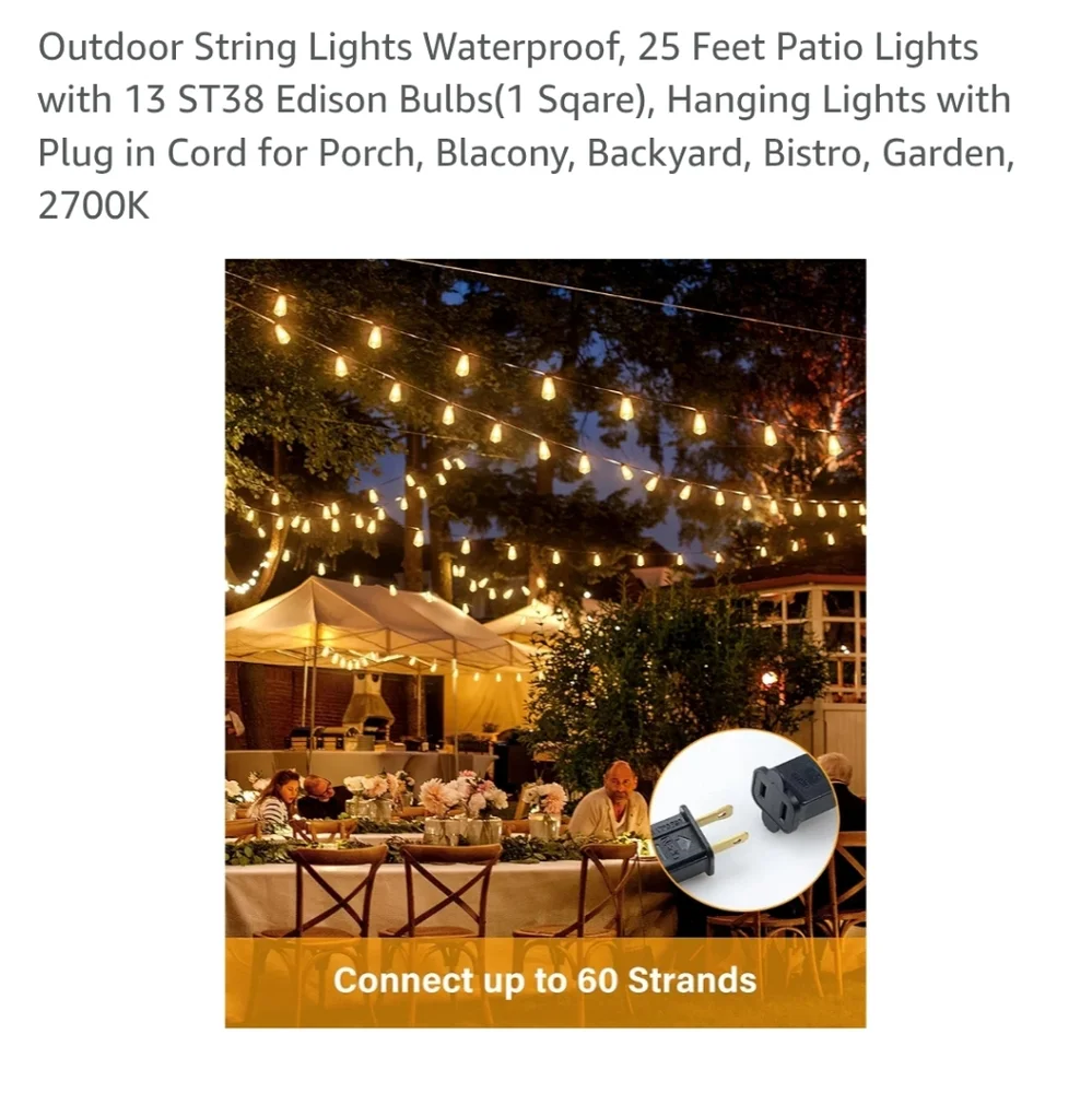 Outdoor String Lights with Black Cord 25ft